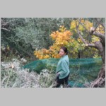 110 ...erst mal schauen, ....JPG 110 ...erst mal schauen, ....JPG